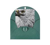 KFLDYOASCBVN Sketching An Eagle Elegant Pearl Paper Holiday Greeting Card For Christmas, Blessing Cardï¼ŒBirthday, Valentine'S Day, And More