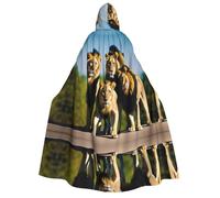 KFRXXZQB A pack of lions -Print Adults Halloween Cloak Hooded - Full Print Gothic Cape For Festivals, Larp Events & Themed Parties With Machine Washable Fabric