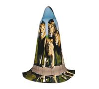 KFRXXZQB A pack of lions -Print Youth Hooded Cape - Adjustable Printed Cloak For Halloween Events, School Theatre & Costumes S