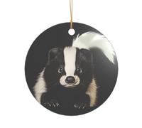 KFRXXZQB Cute Skunk -Print Acrylic Pendant Golden Lanyard - Customizable High-Clarity Ornament For Christmas & Wedding Deco.