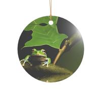 KFRXXZQB Frog and Rain -Print Acrylic Pendant Golden Lanyard - Customizable High-Clarity Ornament For Christmas & Wedding Deco.