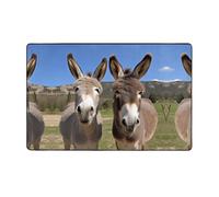KFRXXZQB Funny Donkeys -Print Flannel Non-Slip Mat 60x39 Inch, Soft Washable Area Rug with Memory Foam for Living Room & Bedroom.