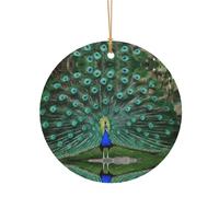 KFRXXZQB Green Peacock Feather -Print Round Aluminum Pendants - Customizable Double-Sided Print, 0.8mm Thin Gold Cord For Christmas.