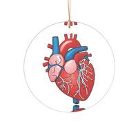 KFRXXZQB Human Anatomy Heart Chart -Print Acrylic Pendant Golden Lanyard - Customizable High-Clarity Ornament For Christmas & Wedding Deco.