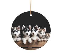 KFRXXZQB Husky Puppies Dogs -Print Round Aluminum Pendants - Customizable Double-Sided Print, 0.8mm Thin Gold Cord For Christmas.