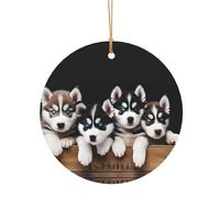 KFRXXZQB Husky Puppies Dogs -Print Round Aluminum Pendants - Customizable Double-Sided Print, 0.8mm Thin Gold Cord For Christmas.