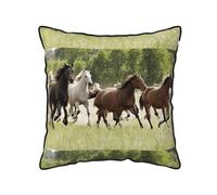 KFRXXZQB Various Kinds of Horses -Print Plush Velvet Pillow Covers With Edging, Decorative Cushion Covers For Sofa BedLuxury Soft Accent Pillows For Living Room Decor