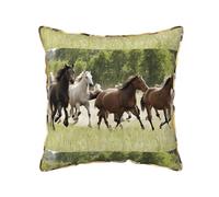 KFRXXZQB Various Kinds of Horses -Print Plush Velvet Pillow Covers With Edging, Decorative Cushion Covers For Sofa BedLuxury Soft Accent Pillows For Living Room Decor