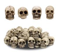 KFSCIP 20 Mini Skulls, Halloween Decorations, Skeleton DIY Accessories, Resin Skull Models for Fish Tank, Home, Garden, Party Decor