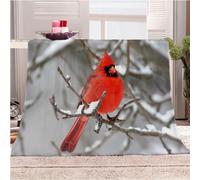 KGSK Blanket For Bed Single 3D Red Bird On The Branch Flannel Warm Print Sherpa Kids Boys Adults 59x78inch Pattern Fleece Throw Soft Fuzzy Bed Couch