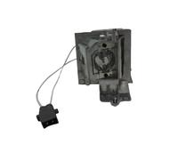 KGVBZBR Bulb Fit for BL-FP190D SP.73701GC01 HD141X EH200ST GT1080 HD26 S316 X316 W316 DX346 BR323 BR326 DH1009 DH1008 DS340E DS345(CBH)