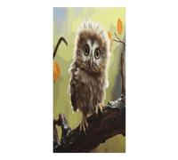 KHAUERBC Real Cute Baby Owls Quick Dry Towels,Quick Dry Super Absorbent ，Large Oversized Beach Towel，61.4 * 30.3 Inches. Fiber Beach Towels is Sand Proof Tropical Beach Essentials.