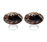 KHAUERBC Red Pandas Cabinet Handles Round 1.1 Inch Hole Center,Drawer Pulls Stainless Steel with Screw,Cabinet Knobs for Dresser Bathroom Kitchen Door