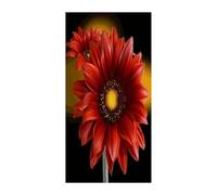 KHAUERBC Red Sunflower Blackout Curtains for Light Filtering Doorway Curtains .Room Divider Curtain As Sliding Door/Closet/Patio。French Door Curtain 70 * 35.4 Inch for Home Decors.