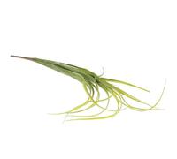 KHBUAB Artificial Orchid Grass Bundle Green Plastic Faux Grass for Home Decoration Strong Durability, Won't Wilt, for Creating A Comfortable Living Environment