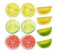 KHBUAB Simulation Fruit Model Fake Slices 10pcs Made of Sturdy Pvc with Realistic Look and Not Fade Feature for Cognitive and Teaching Aid