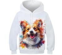 KHHKJBVCE 3D Children's Hoodies Corgi Novelty Cute Printed Pattern Sweatshirt Girl Boy Pullover Hoodies Comfortable Leisure Long Sleeve Sweatshirt With Pocket 10-12Y
