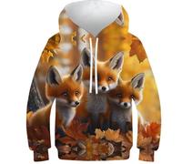KHHKJBVCE 3D Children's Hoodies Fox Unisex Sweaters 3D Printed Unique Printed Pattern Handsome Fashion Hooded Sweatshirts with Pockets 11-13Y