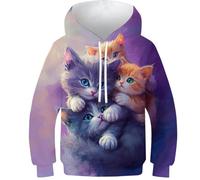KHHKJBVCE 3D Cute Kitten Hoodies for Boys Girls Pullover Sweatshirts Sweater Kids Cool Hoodie Clothes 12-14Y