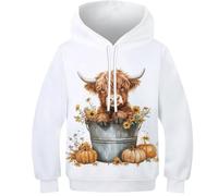 KHHKJBVCE Cute Highland Cow Boys Hoodies 3D Print Graphic Pullover Hooded Sweatshirt with Kangaroo Pocket 10-12Y