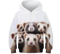 KHHKJBVCE Cute Otter Unisex Kids 3D Print Hoodie Funny Pullover Sportwear Hoody Jumper Sweatshirts Tops with Pockets 8-10Y