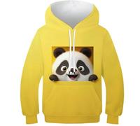 KHHKJBVCE Cute Panda 3D Print Cool Pullover Boys Hoodies Funny Sweatshirt Novelty Clothes for Kids Girls 12-14Y