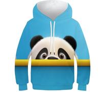 KHHKJBVCE Cute Panda Boys Girls Hoodies Kids Jumper Long Sleeve Pullover Toddler Hooded Top 3D Printed Sweatshirt Funny Clothes with Pocket 8-10Y