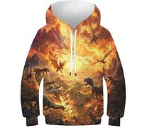 KHHKJBVCE Dinosaur Kids Hoodies Pullover 3D Sweatshirt Jumpers Tops for Boys Girls 12-14Y