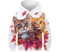 KHHKJBVCE Kids 3D Hoodies Cute Cat Print Sweatshirt with Pocket 10-12Y