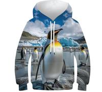 KHHKJBVCE Penguin Boys Girls Hoodie Kids 3D Print Fleece Pullover Hoodies Sweatshirt with Kangaroo Pockets 6-7Y