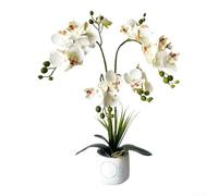 KHIronHive 24-Head Artificial Phalaenopsis Orchid In Pot, 17.72 Inch Fake Flower Arrangement With Realistic Fabric Blooms And Leaves For Home, Office, Hotel Decor(White)