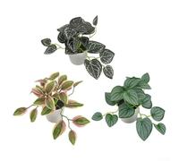 KHIronHive 3 Pack Artificial For Mini Plant Pots, Realistic Fake Greenery For Home Office Desktop Decor, Small Plastic Potted Plants With Natural Leaf Details, Evergreen Ornaments For Modern Interior