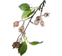 KHIronHive 36cm Lifelike Artificial Berry Stems with Leaves Flexible Plastic Fake Flower Branches Floral Arrangement Props for Wedding Centerpieces Home Decor & Photography (Coffee)