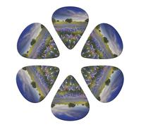 KHiry 6 Pack Guitar Picks Plectrums with Organizer Storage Box Texas Bluebonnets Scenery Bass Picks for Electric Ukulele Picks for Acoustic Guitars 0.46mm