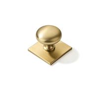 khtumeware 10 Pack 1-1/2 Inch Diameter Brushed Brass Cabinet knobs with Backplate,Satin Gold Vintage Backplate for Cabinet knobs and Drawer knobs, Bi-Fold Door Knobs