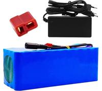 KHUKHU 36V E-Bike Battery Pack, 8Ah High Power Lithium with Charger, Waterproof Design for 200W-800W Motorcycles(XT60 plug)