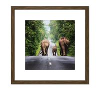 Khunkay Wild Elephants Road Forest Thailand Photo 8X8 Inch Square Wooden Framed Wall Art Print Picture with Mount Artery8 Brown One Size