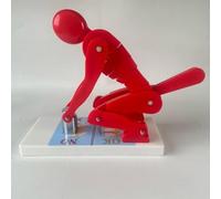 KHZKHC Human Weight Lifting Spine Force Model, Correct Posture and Lumbar Spine Protection Teaching Tool, Human Body Correct Lifting Model, Manual Operation Demonstration, for Posture Correction