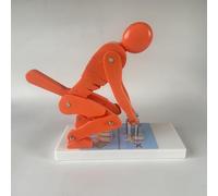 KHZKHC Human Weight Lifting Spine Force Model, Correct Posture and Lumbar Spine Protection Teaching Tool, Human Body Correct Lifting Model, Manual Operation Demonstration, for Posture Correction