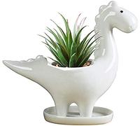 KiaoTime Dinosaur Shape White Ceramic Succulent Planters Pots little Planter flower Bonsai Plant Dino Pots Vase Container Cactus Desktop Animal Decoration Pencil Holder Nursery Pots (Herbivore)