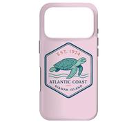 Kiawah Island Vintage Sea Turtle Atlantic Coast Beach Case for iPhone 17 Pro