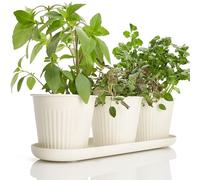 KIBAGA Beautiful Herb Garden Planter Indoor Set of 3 - Perfect for Any Kitchen Window Sill or Countertop - A Modern Decor Gardening Planter Kit Incl. Tray & Drainage Holes to Grow Fresh Herbs at Home