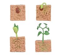 KiBcsLic Children's Plant Sowing Growth Life Cycle Playset Education