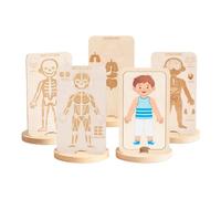 KiBcsLic Playset for The Human Body, Multi-layered Skeleton Toy, Educational Game for Preschool Children Aged 3 And Up, Boy