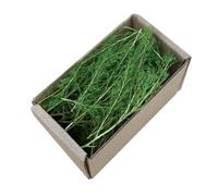 KiBcsLic Simulation Miniature Grass Fairy Garden Terrain Making DIY Railway Train Fake Grass for Accessories Railroad Scenery Railways, Summer Green