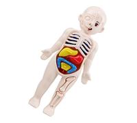 KICHOUSE 1Set Human Body Organs Model Educational Anatomy Doll for Cognitive Tool for Early Learning and Understanding Human Anatomy Structure