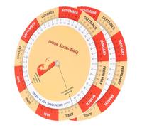 KICHOUSE 2pcs Pregnancy Tracker Paper Wheels with Colourful Design and Detailed Development Chart for Pregnant Women, Pregnancy Schedule and W y-w uide for Expecting Mothers