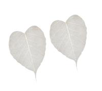 KICHOUSE 2pcs Stainless Steel Mesh Tea Filters Bodhi Leaf Shape Tea Infusers Suitable for Herbs and Spices and Home Use