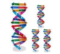 KICHOUSE 4pcs DNA Double Helix Model Kit Educational Human Gene Learning Tool Scientific Molecular Structure Biological Teaching for School and Lab Use