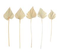 KICHOUSE 5pcs Dried Palm Fan Leaf Decorative Vivid Chic Dried Flower Arrangements for Wedding Party Decoration with Artistic Sense
